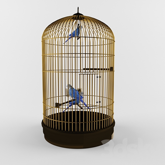 Cage for parrots 3DS Max Model - thumbnail 2