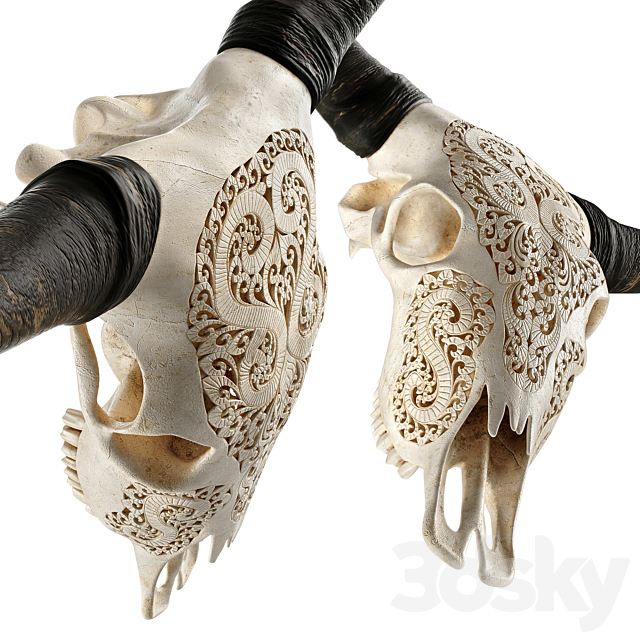 Carved cow skull 3DS Max Model - thumbnail 3