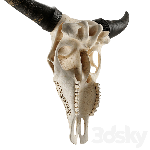 Carved cow skull 3DS Max Model - thumbnail 4