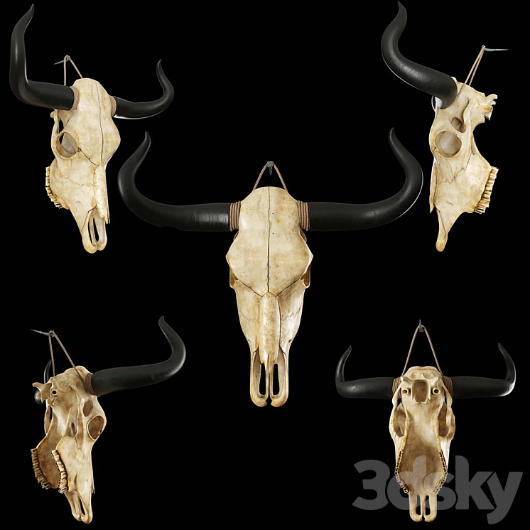 Cow skull 3DS Max - thumbnail 1