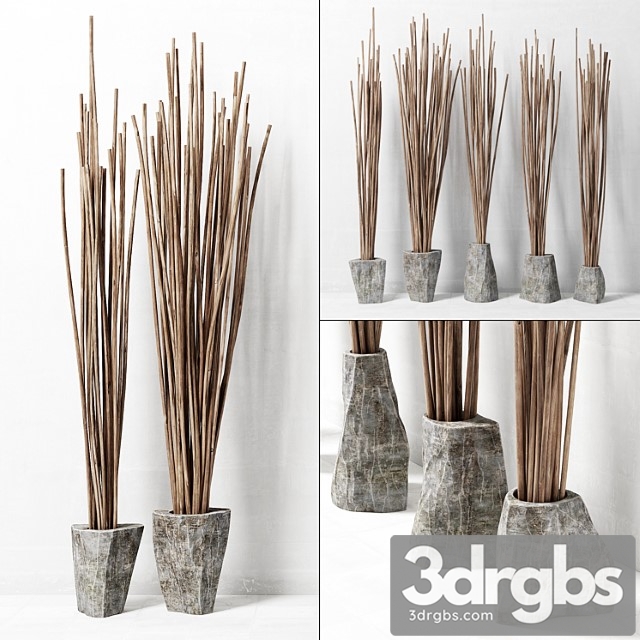 decor of branches in vases 3dsmax Download - thumbnail 1