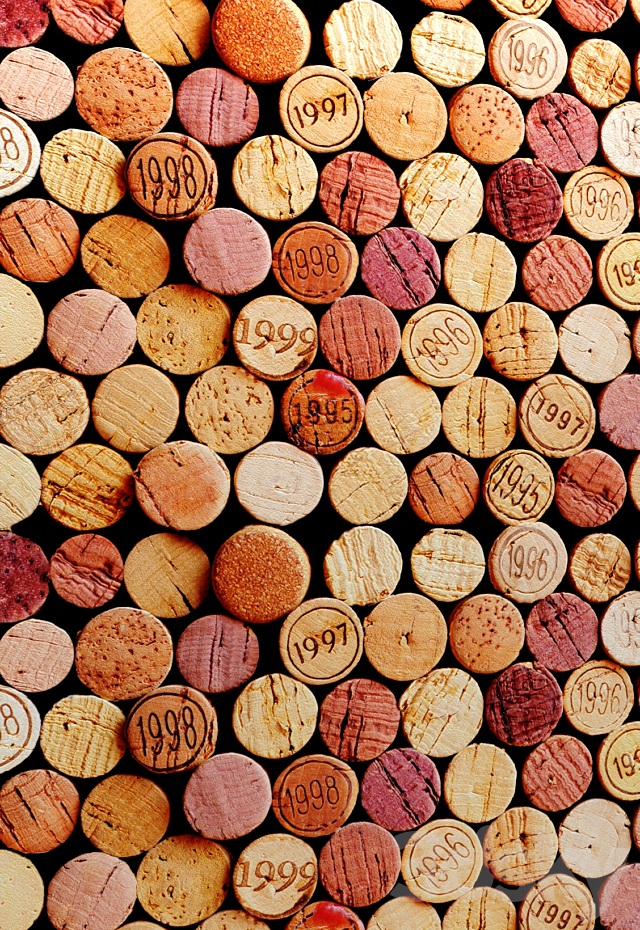 Decorative wall made of wine corks. 3DS Max Model - thumbnail 2