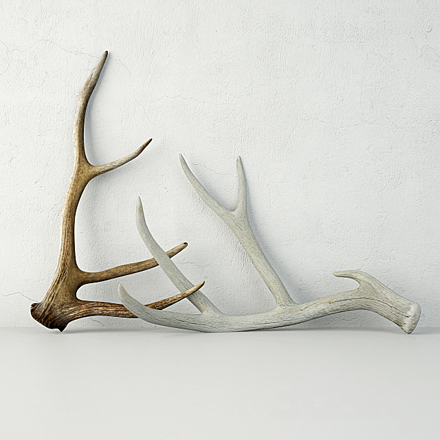 Deer Antlers 3ds Max - thumbnail 1