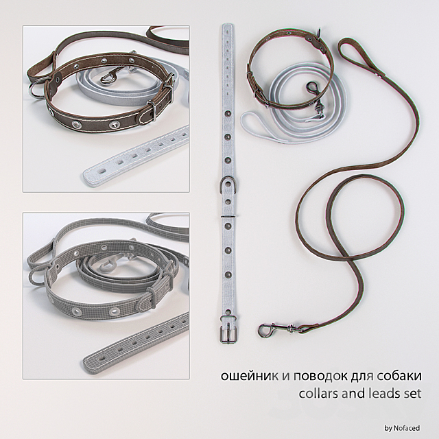 Dog collar and leash_collar and dog lead 3DSMax File - thumbnail 1