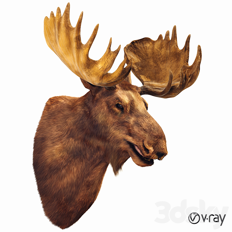 Elk head 3DS Max - thumbnail 1