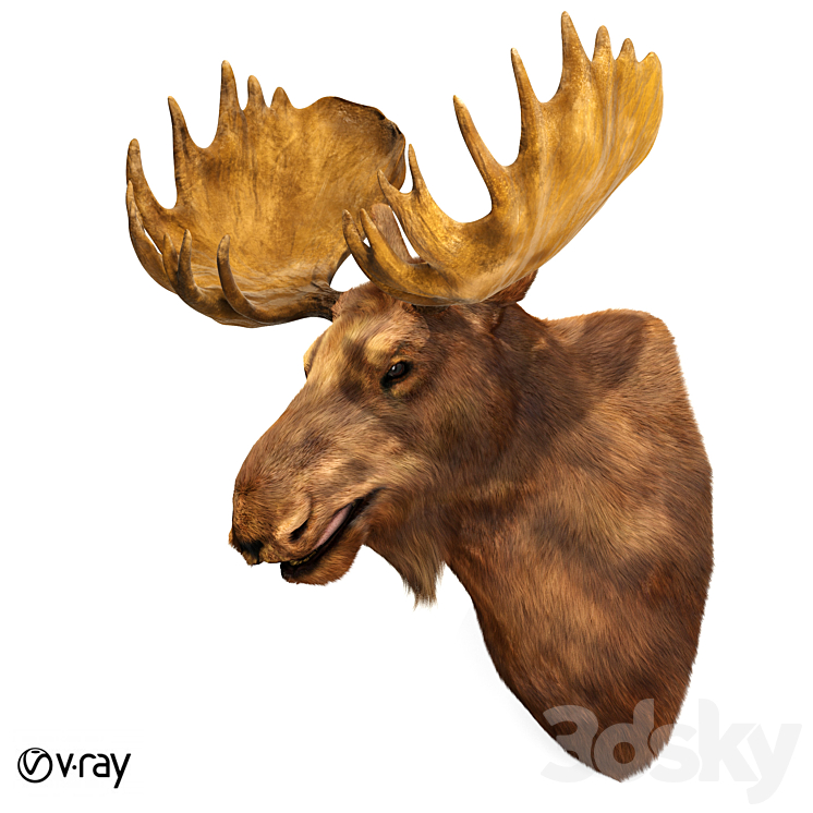 Elk head 3DS Max - thumbnail 2