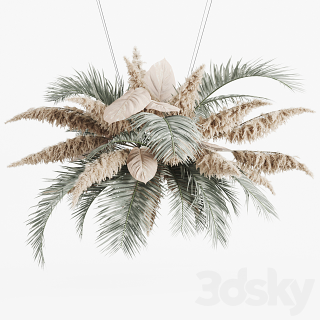 Hanging decor of palm leaves and pampas grass 3DSMax File - thumbnail 1