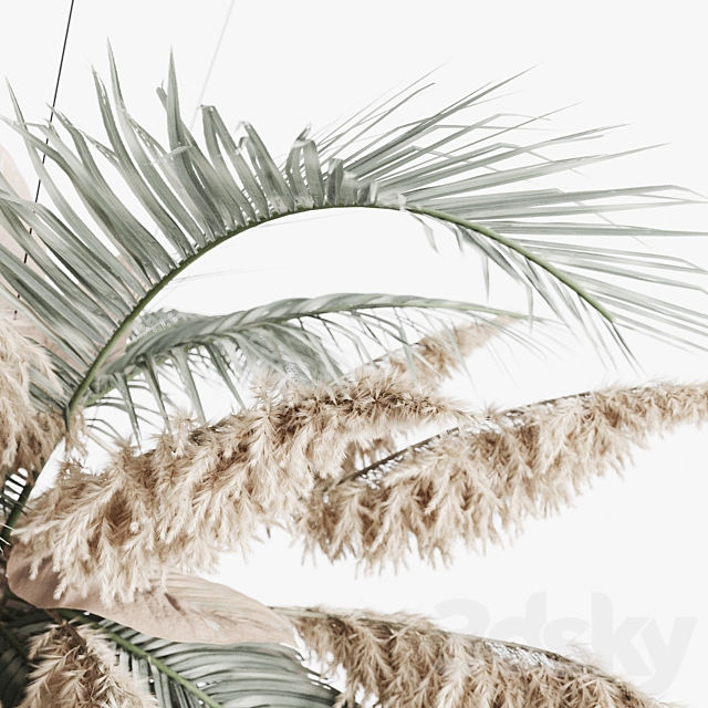 Hanging decor of palm leaves and pampas grass 3DSMax File - thumbnail 3