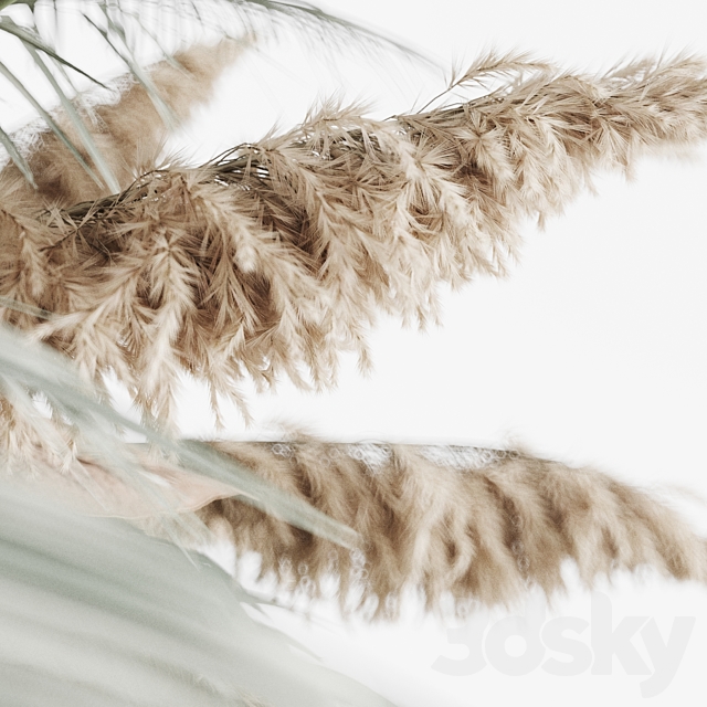 Hanging decor of palm leaves and pampas grass 3DSMax File - thumbnail 4