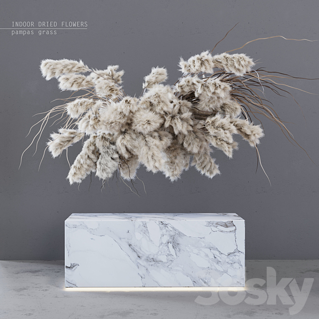 INDOOR DRIED FLOWERS _ pampas grass 3DSMax File - thumbnail 1