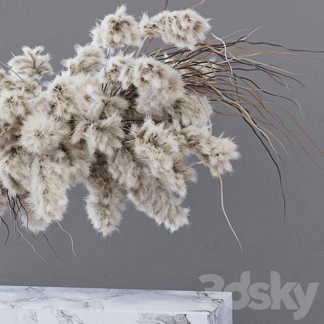 INDOOR DRIED FLOWERS _ pampas grass 3DSMax File - thumbnail 4