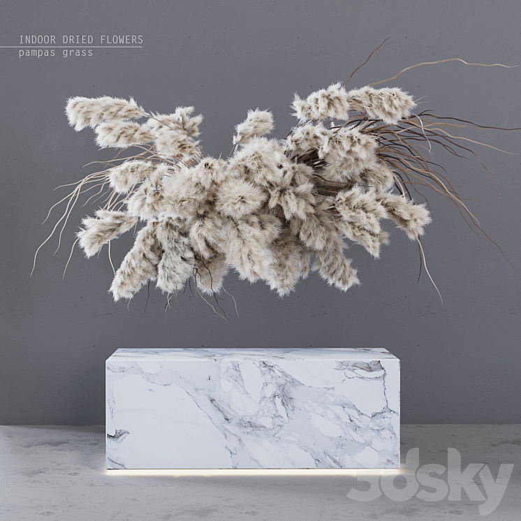 INDOOR DRIED FLOWERS \/ pampas grass 3DS Max - thumbnail 1