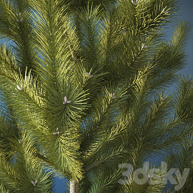 Interior pine 3ds Max - thumbnail 2