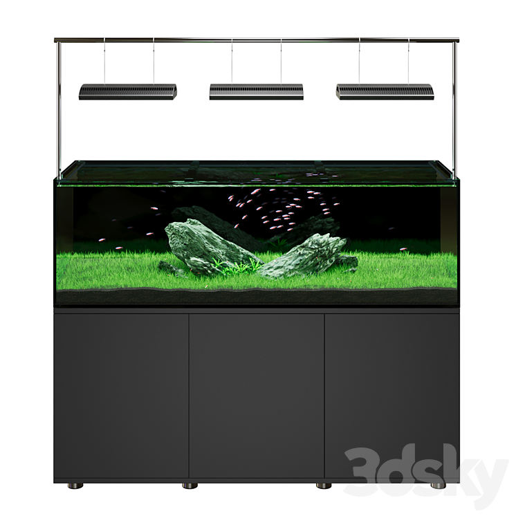 Iwagumi style aquarium 3DS Max Model - thumbnail 1