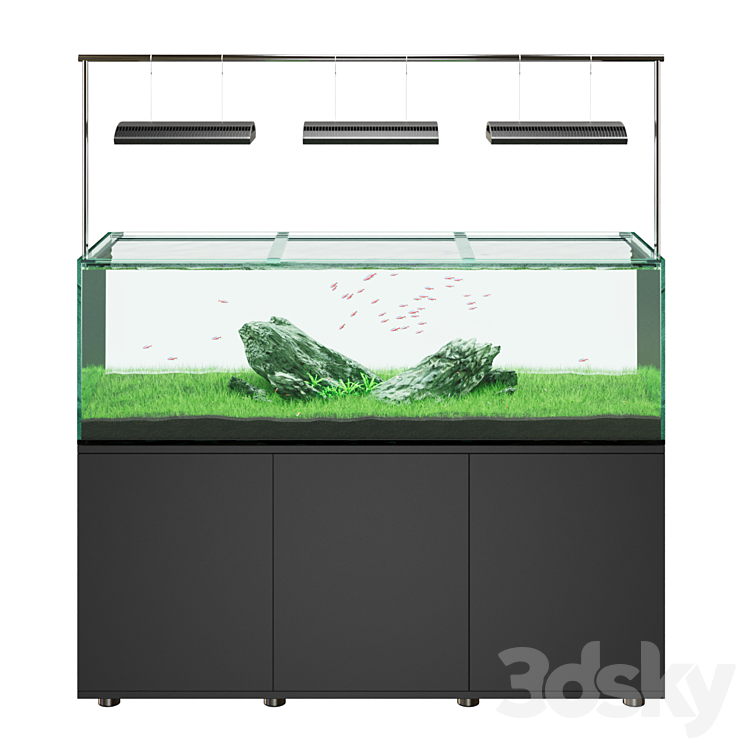 Iwagumi style aquarium 3DS Max Model - thumbnail 2