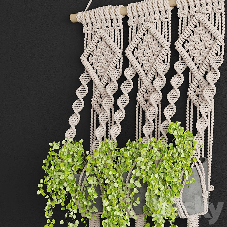 Macrame Planter 3DS Max - thumbnail 2