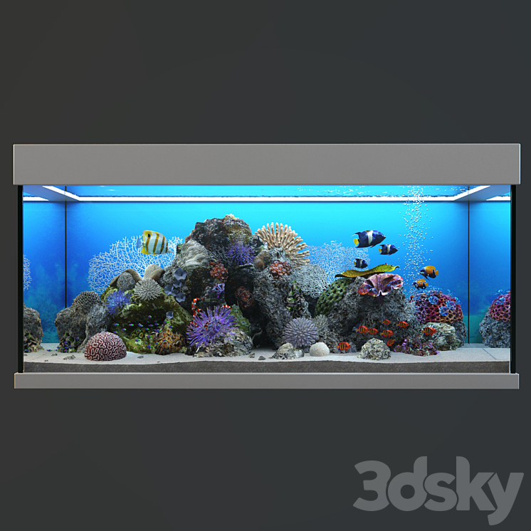 Marine Aquarium 3DS Max Model - thumbnail 1