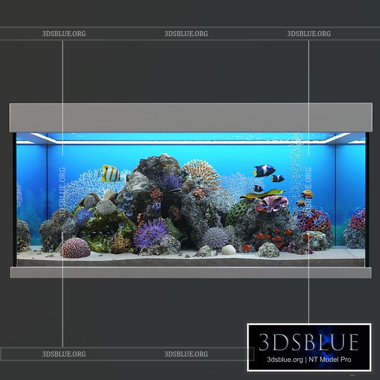 Marine Aquarium 3DS Max - thumbnail 3