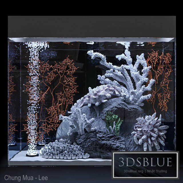 Marine aquarium 3DS Max - thumbnail 3