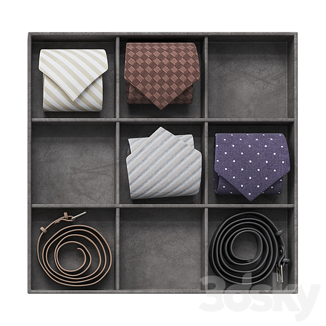 Organizer Accessories for men 3DS Max Model - thumbnail 4