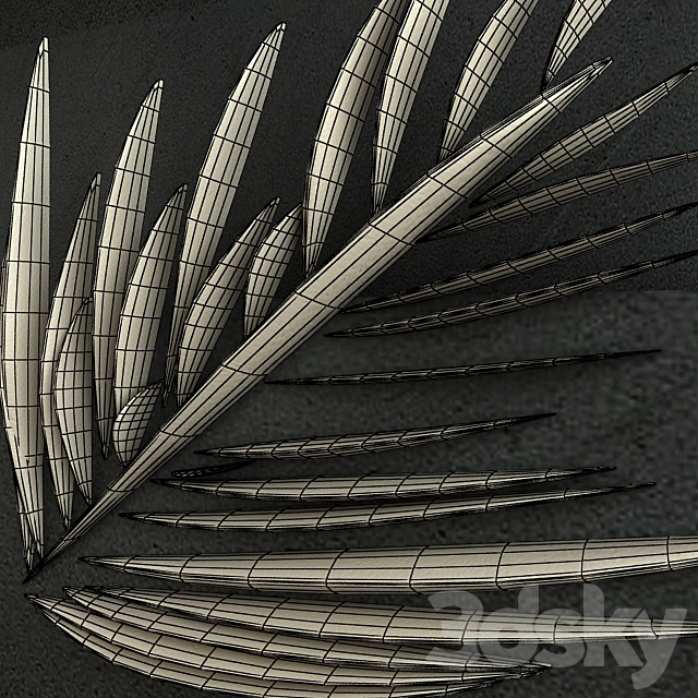 Palm Leaf Ornament 003 3DS Max Model - thumbnail 3