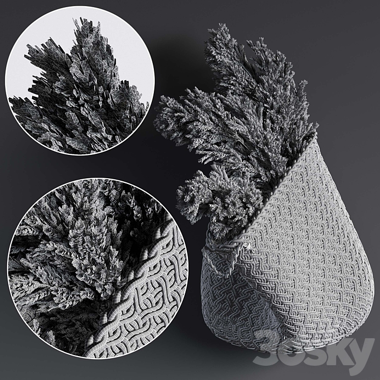 Pampas flower in hand basket 3DS Max - thumbnail 2