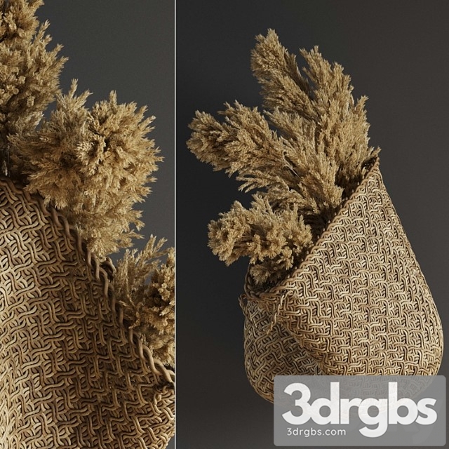 Pampas flower in hand basket 3dsmax Download - thumbnail 1