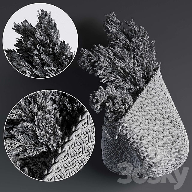 Pampas flower in hand basket 3DSMax File - thumbnail 2