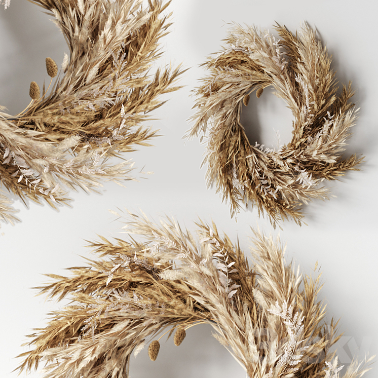 Pampas wall decor-02 3DS Max - thumbnail 1