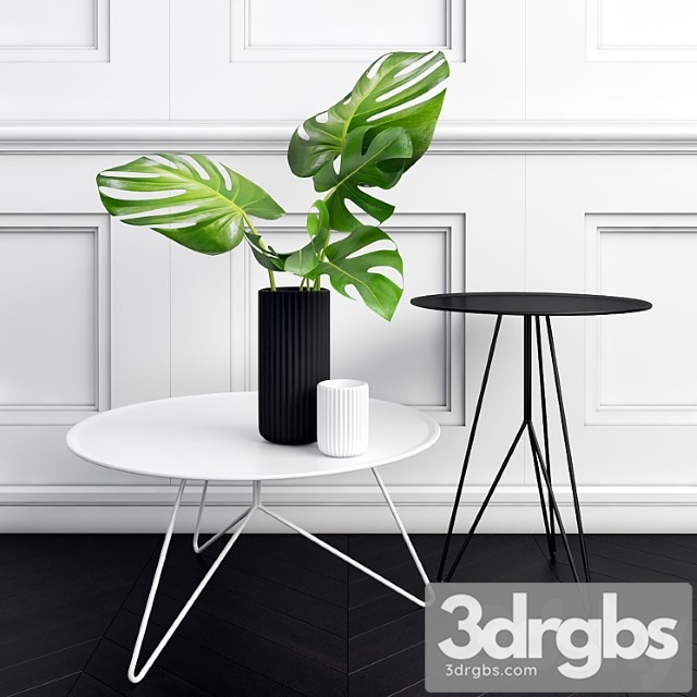 Philodendron 3dsmax Download - thumbnail 1