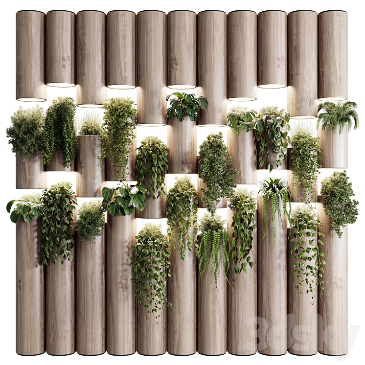 plants set partition in wooden frame- Vertical graden wall decor box 30 3DS Max Model - thumbnail 3