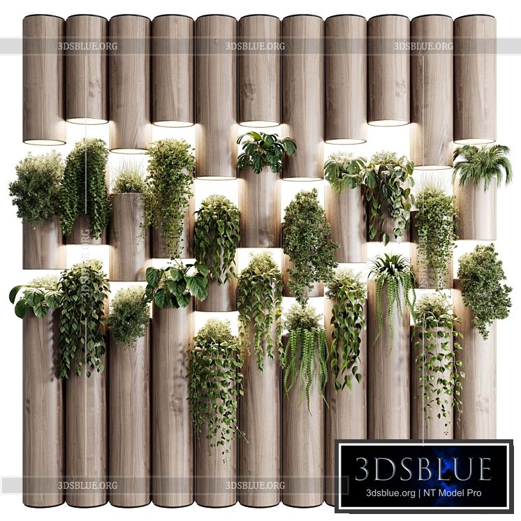 plants set partition in wooden frame- Vertical graden wall decor box 30 3DS Max - thumbnail 3