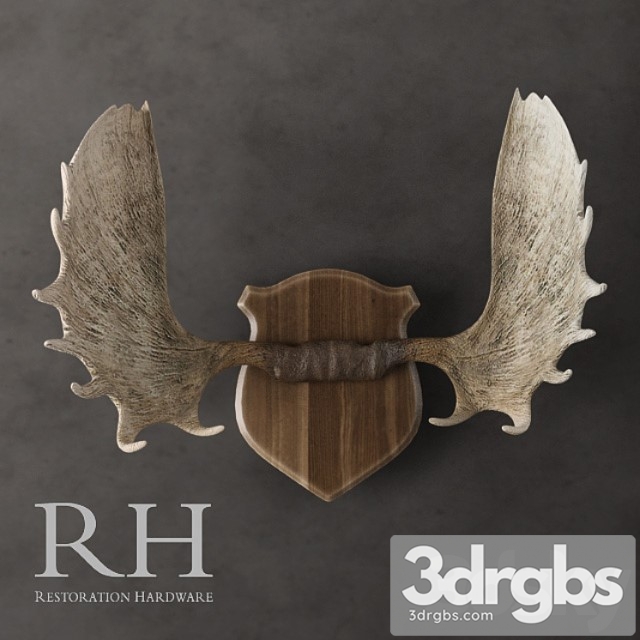 Restoration Hardware Moose Antlers In Cast Resin 3dsmax Download - thumbnail 1