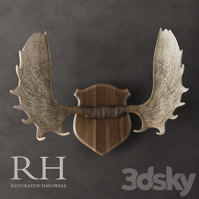 Restoration Hardware – Moose Antlers in Cast Resin 3DSMax File - thumbnail 1