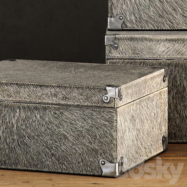 RH _ HAIR-ON-HIDE STORAGE BOXES 3DS Max Model - thumbnail 2