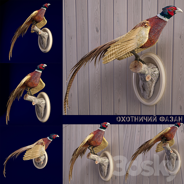 Scarecrow PHEASANT 3DSMax File - thumbnail 1