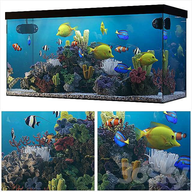 Seawater aquarium 3DSMax File - thumbnail 1