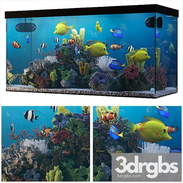 Seawater aquarium_3 3dsmax Download - thumbnail 1