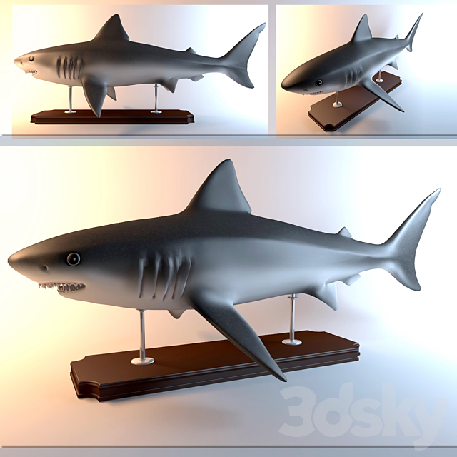 Shark 3DS Max Model - thumbnail 1