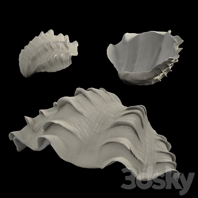 Shell 3ds Max - thumbnail 1