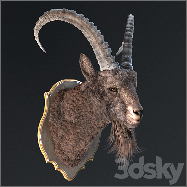 Siberian ibex 3ds Max - thumbnail 1