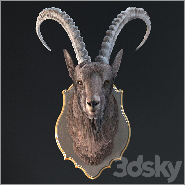 Siberian ibex 3ds Max - thumbnail 2