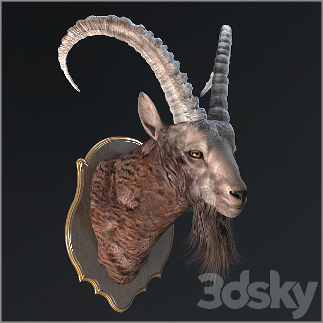 Siberian ibex 3ds Max - thumbnail 3