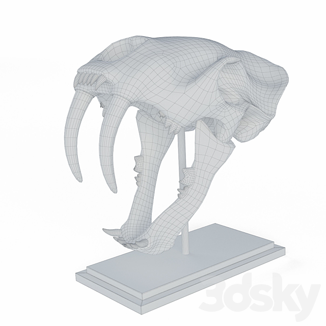 Skull of saber-toothed tiger 3DSMax File - thumbnail 3