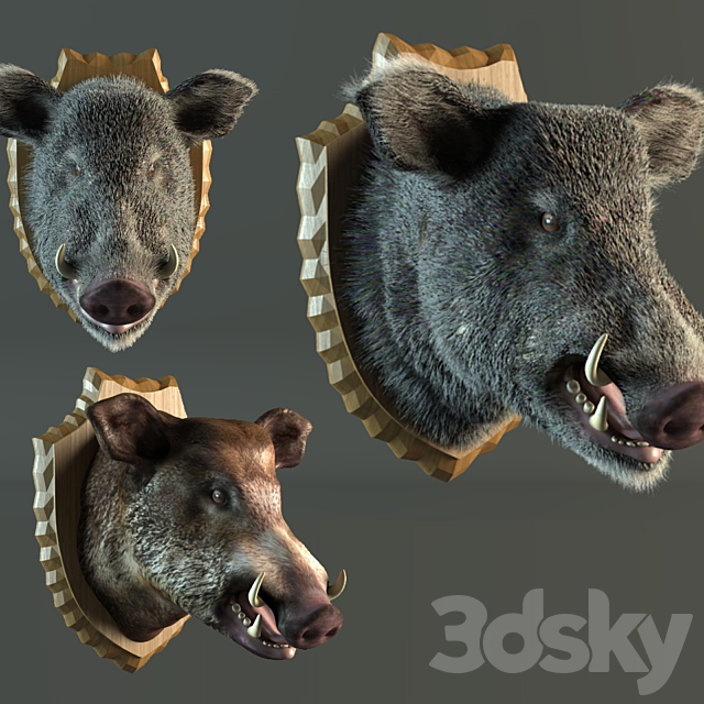 stuffed wild boar 3DS Max Model - thumbnail 1