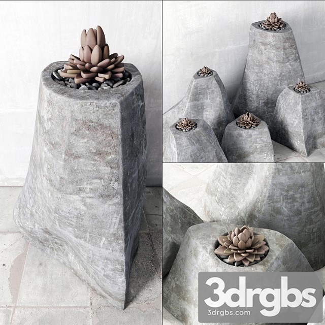 Succulent rock vase 3dsmax Download - thumbnail 1