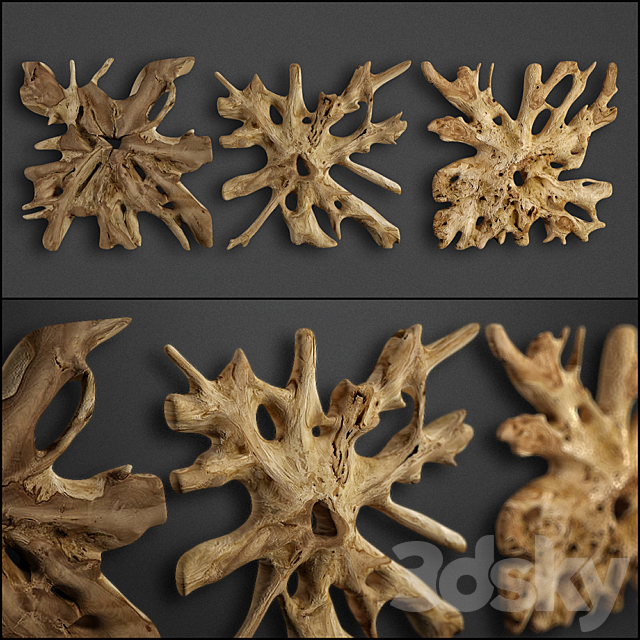 teak root 3ds Max - thumbnail 1