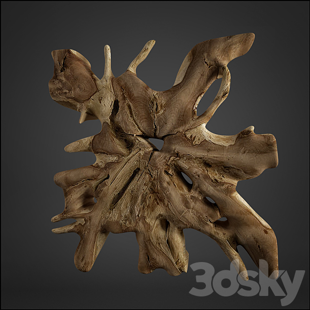 teak root 3ds Max - thumbnail 2