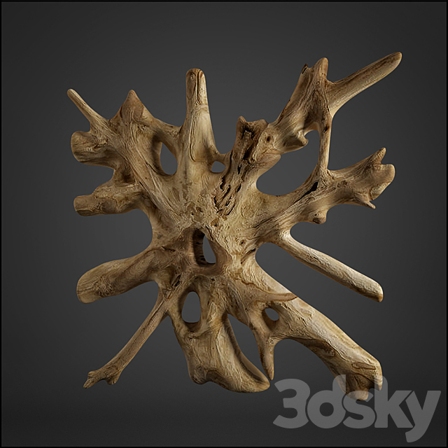 teak root 3ds Max - thumbnail 3