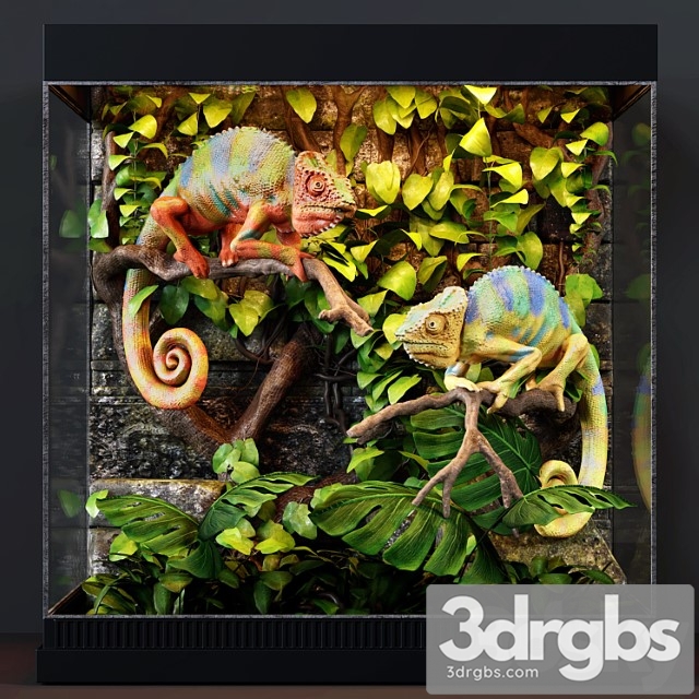 Terrarium 3dsmax Download - thumbnail 1